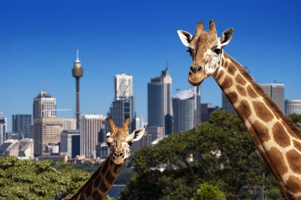Metro Apartments On Darling Harbour Sydney Esterno foto